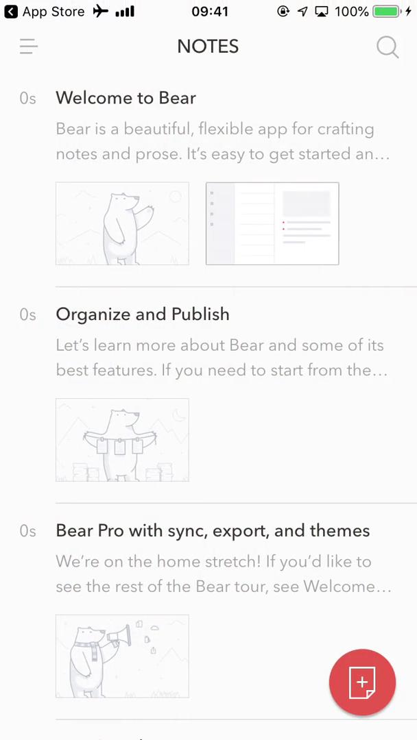 Bear notes notes screenshot
