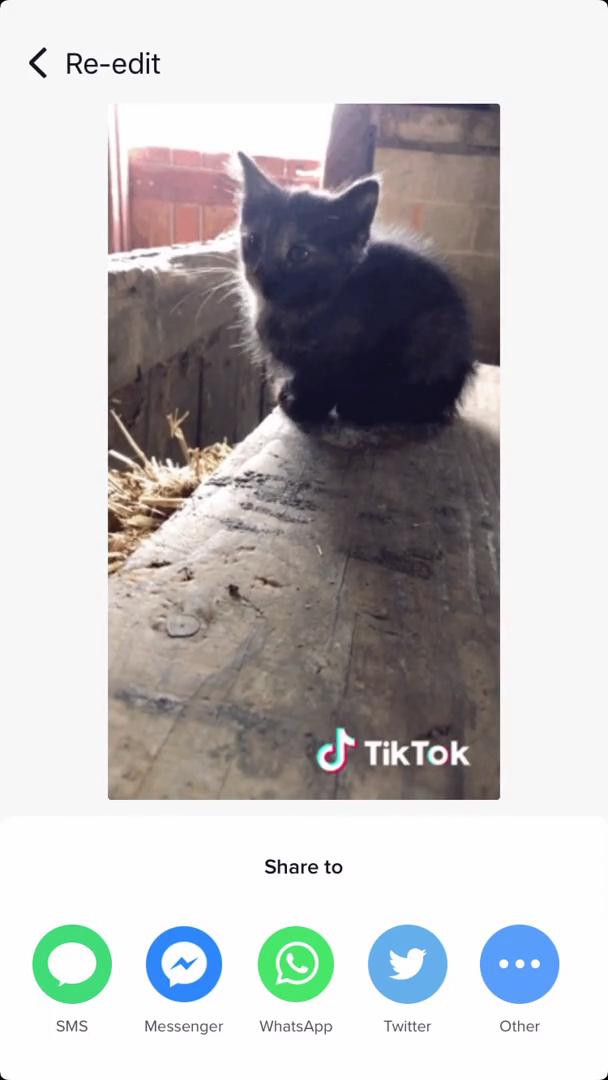 Sharing on TikTok video thumbnail