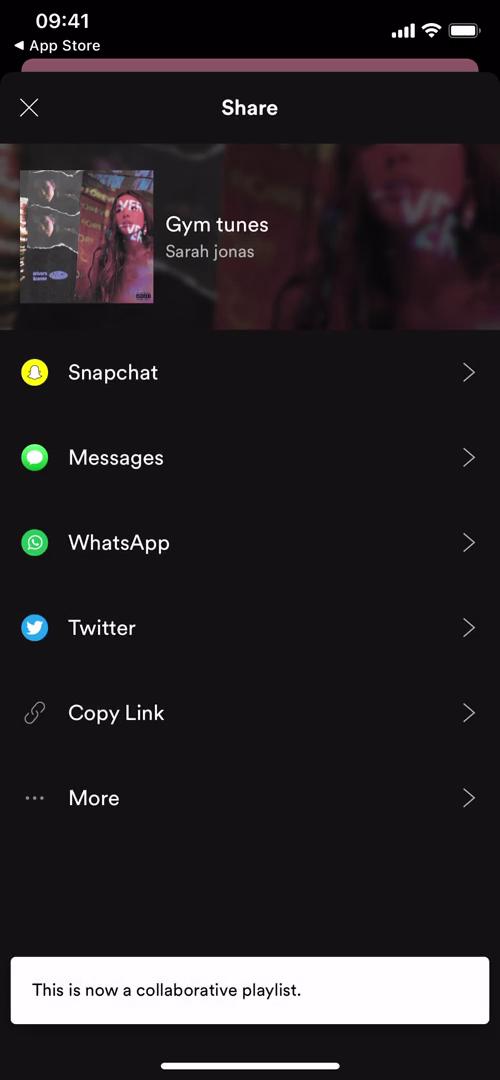 Spotify share screenshot