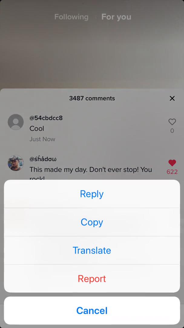 Commenting screenshot