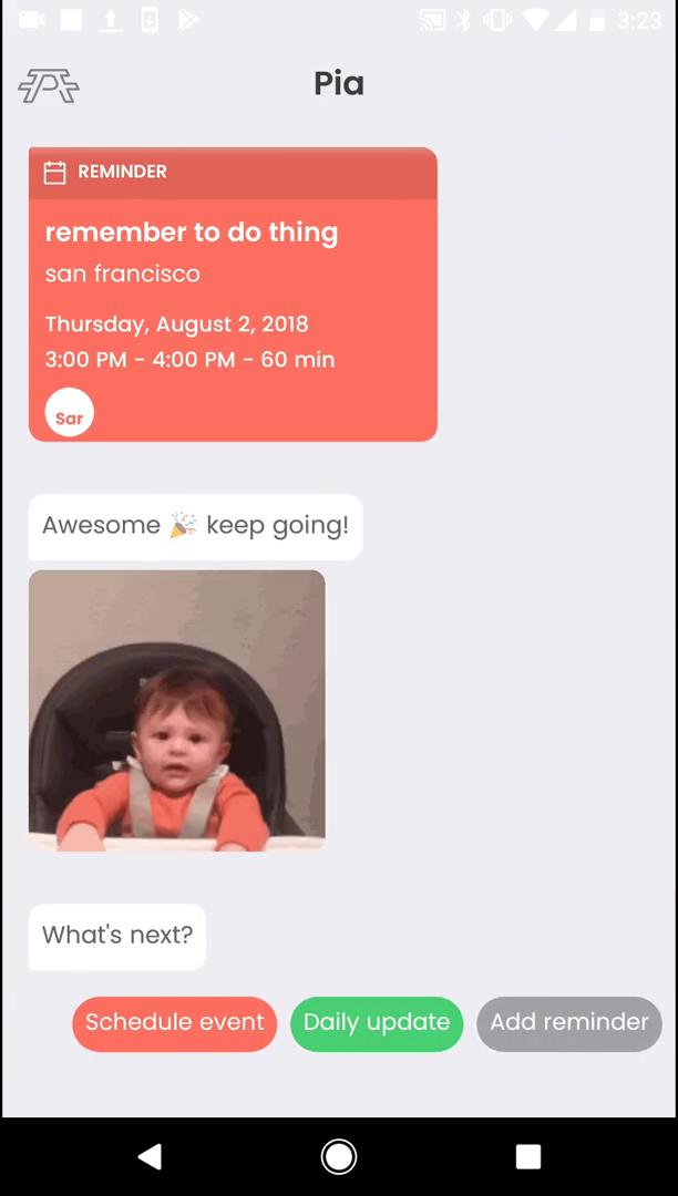 Chat bot screenshot