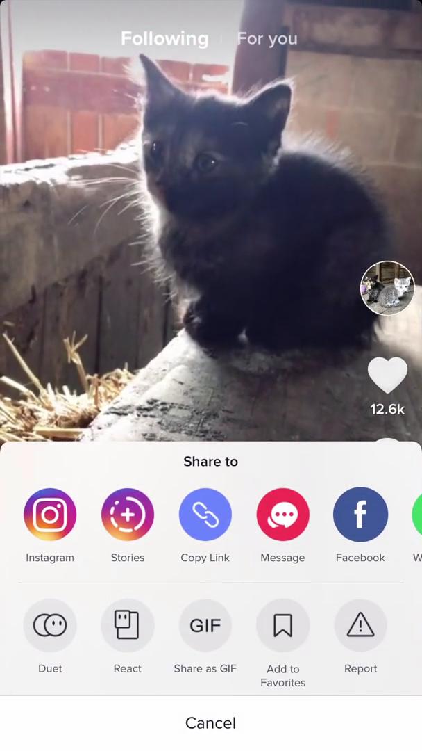 Sharing on TikTok video thumbnail