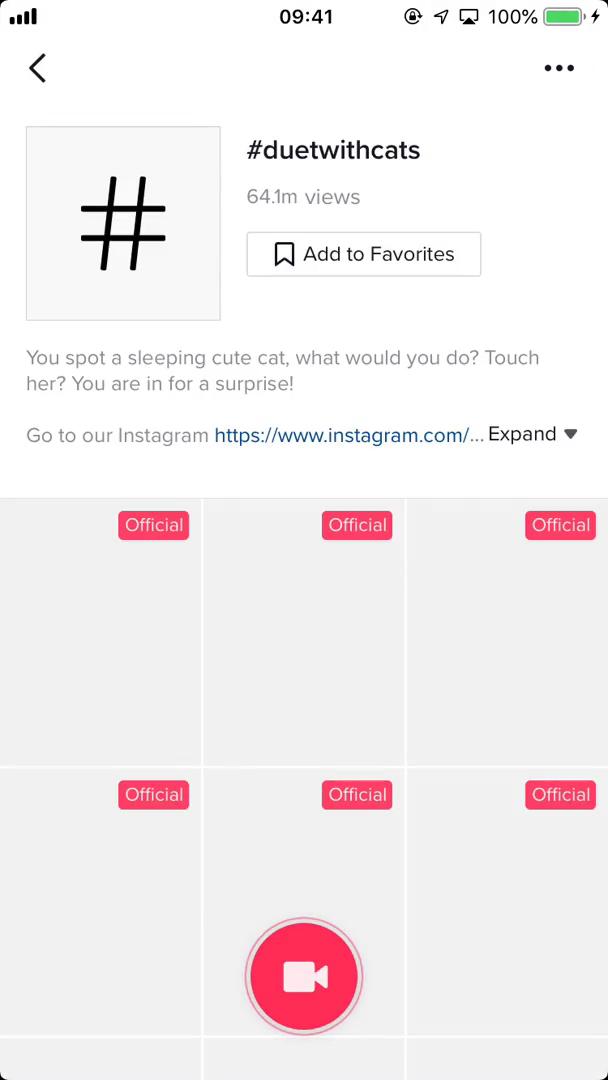 TikTok hashtag detail screenshot