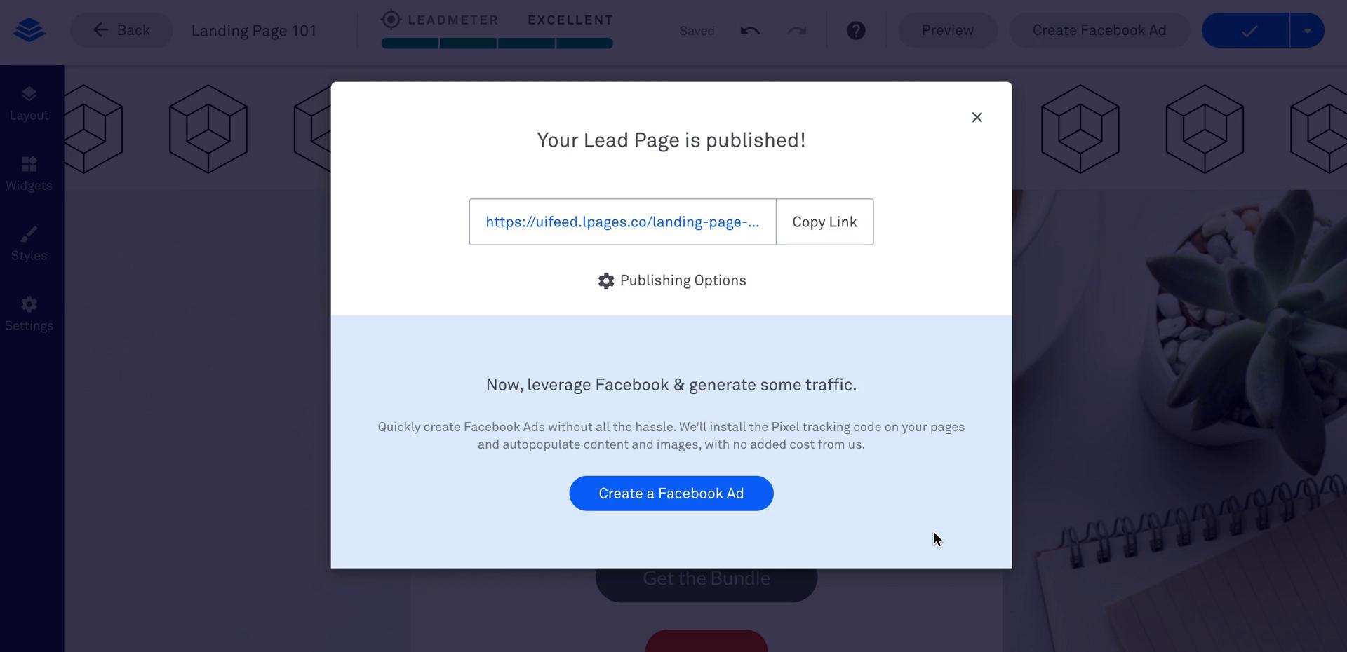 Creating a landing page screenshot