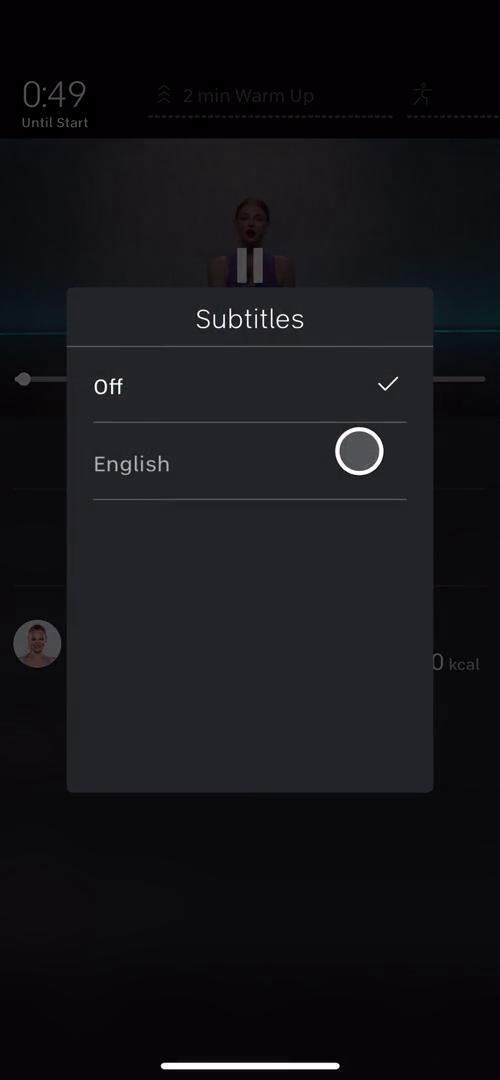 Subtitle settings video thumbnail