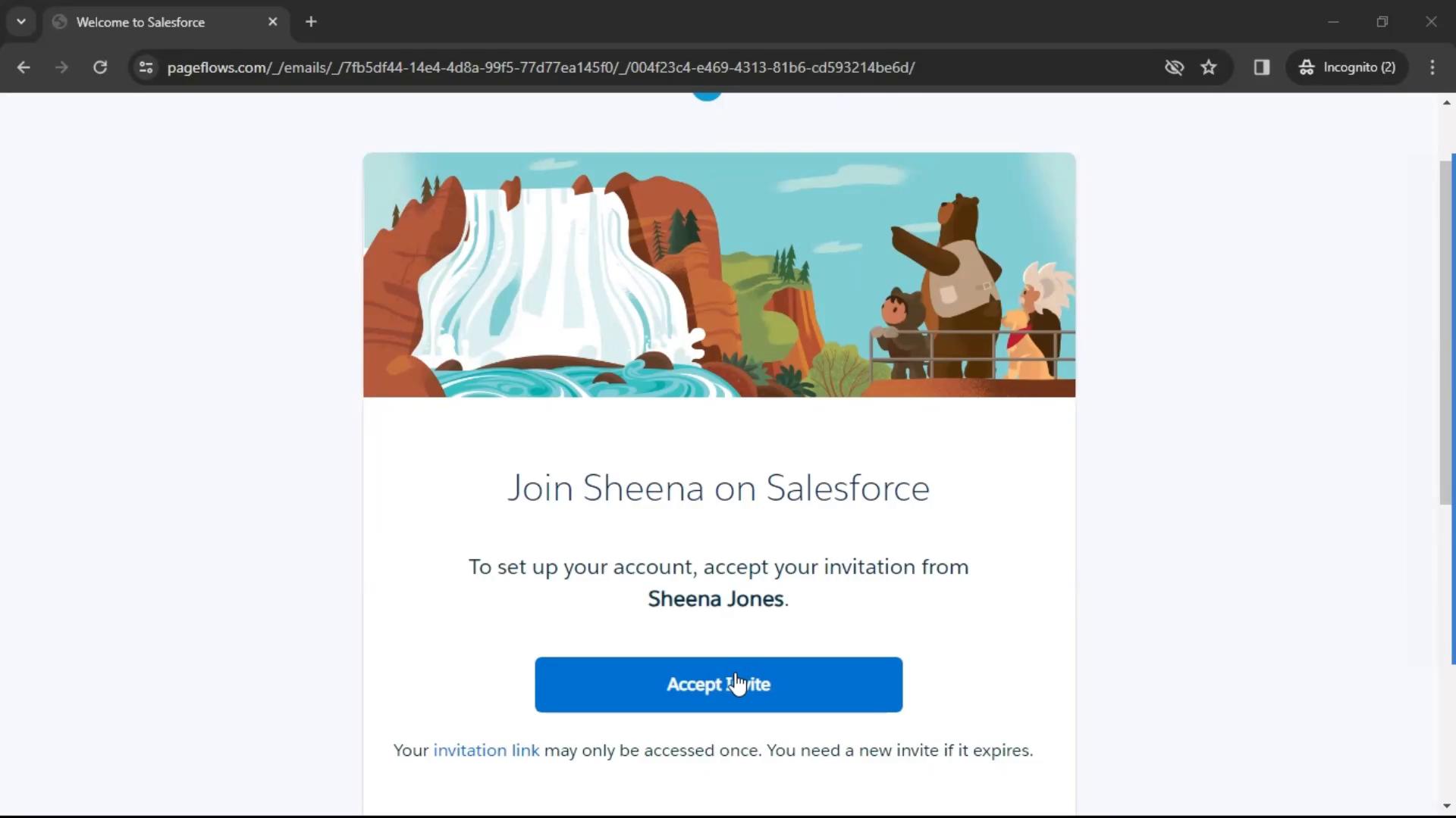 Screenshot of Accepting an invite on Salesforce