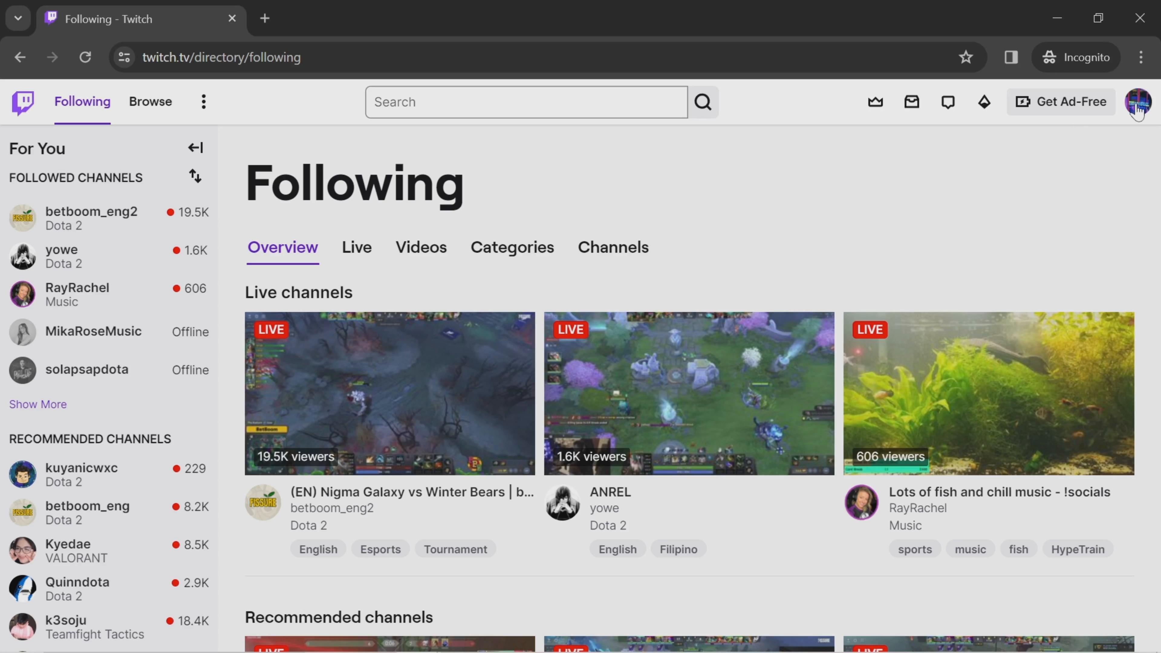 Adding social links on Twitch video thumbnail