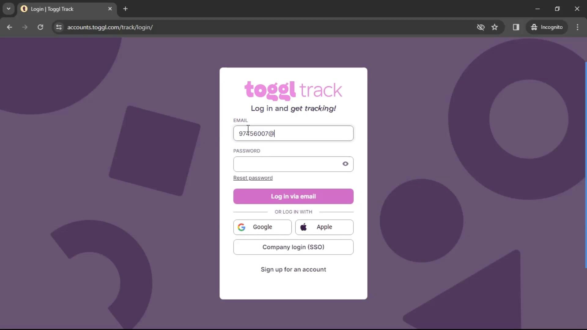 Screenshot of Resetting password on Toggl Track