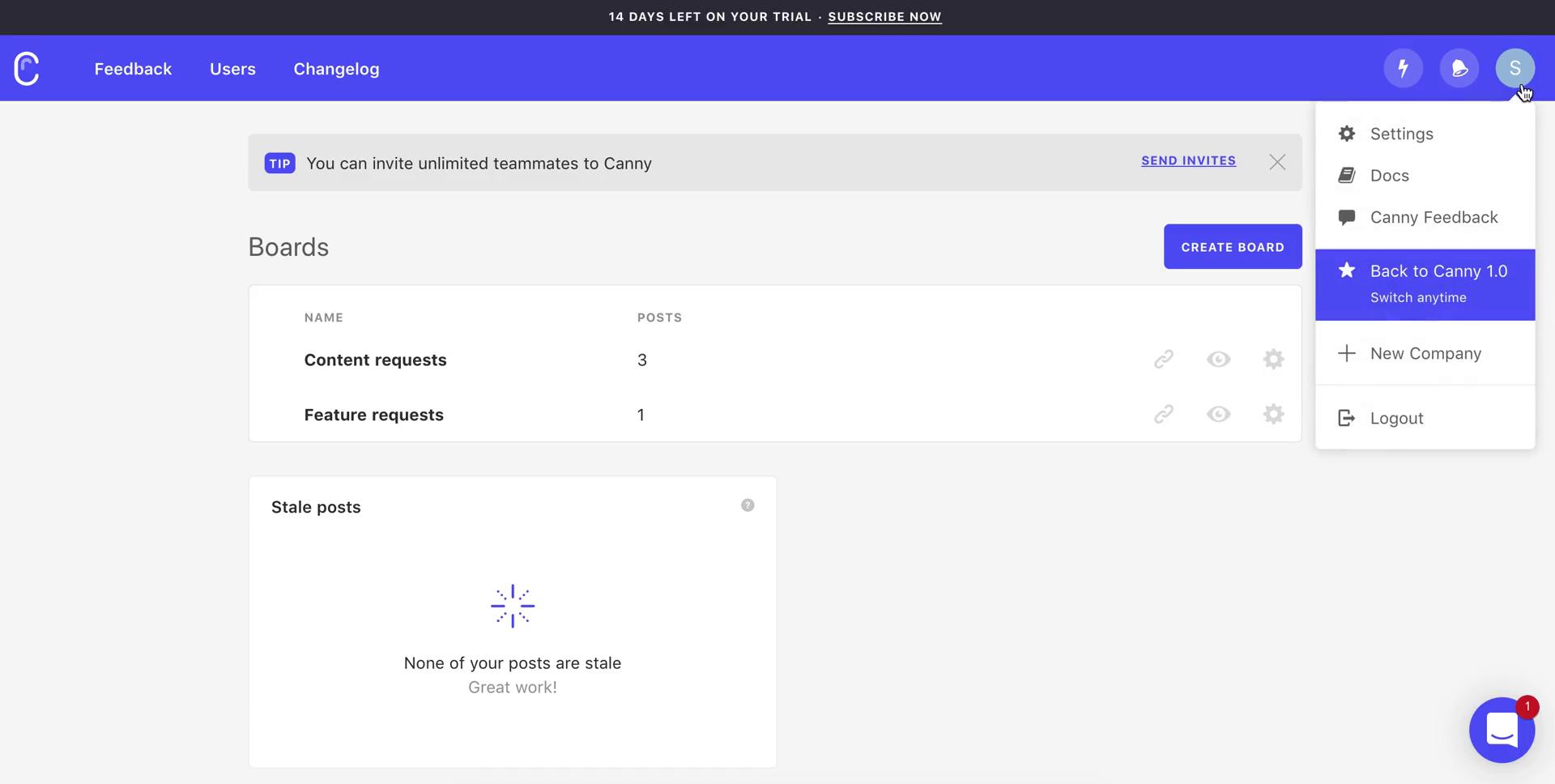 Screenshot of Adding a custom domain on Canny