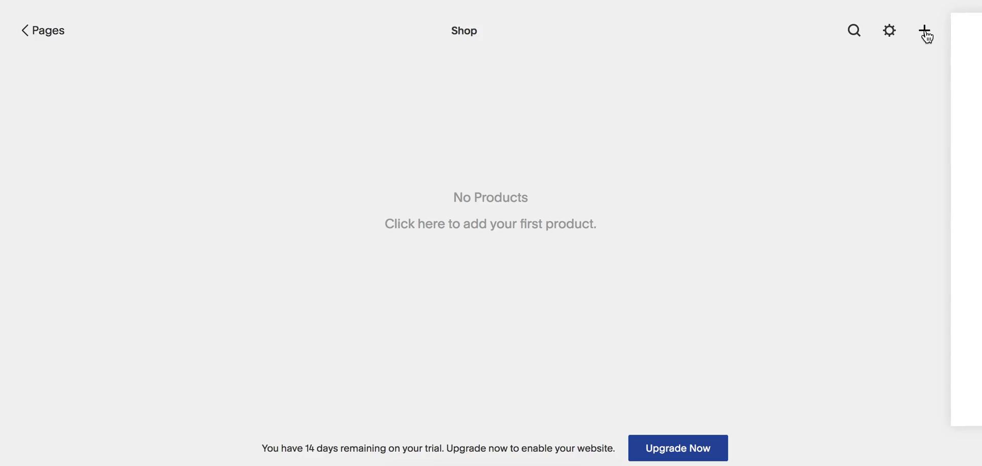 Screenshot of Adding a product on Squarespace