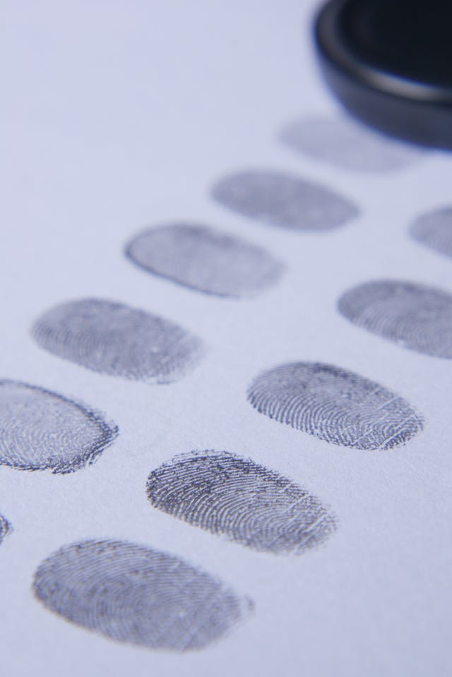 A close-up of black fingerprints on a white background.
