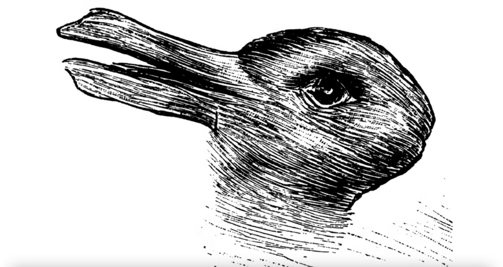 An optical illusion whereby you can either perceive a rabbit or a duck. 
