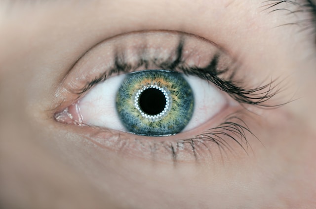 A close-up of a green-blue eye with a ring of light around the pupil.
