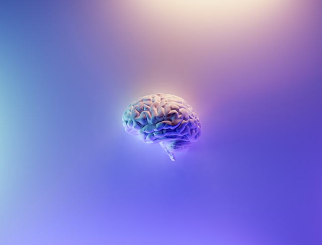 A 3D drawing of a human brain on a pink and purple background.