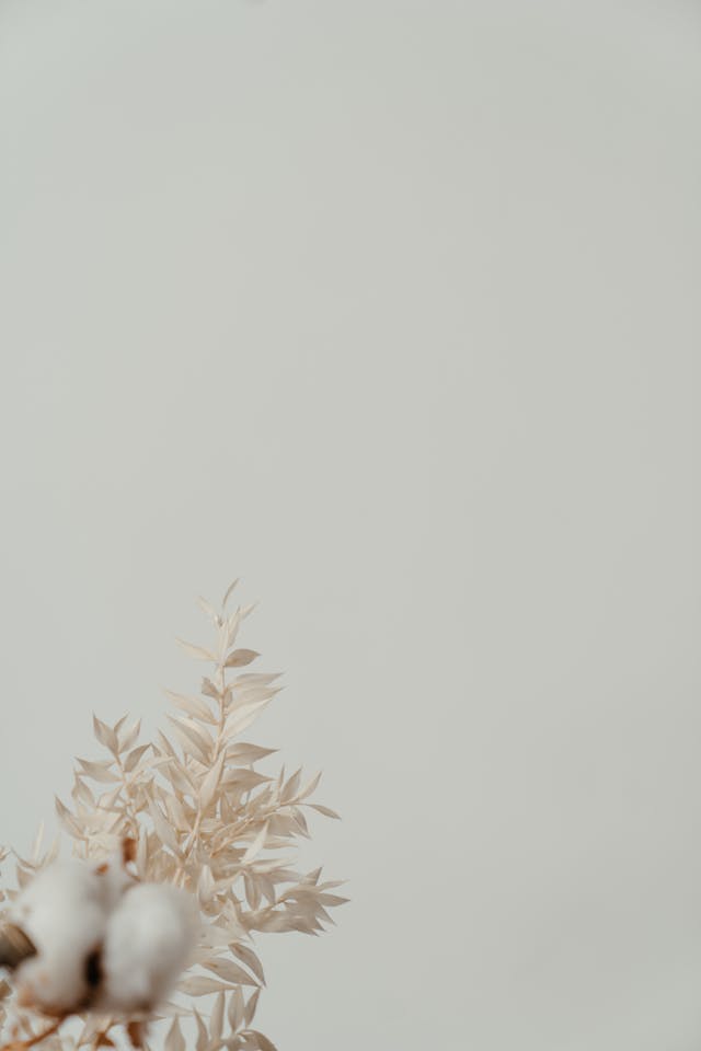 The upper right-hand side of a brown plant against a white background symbolizes negative space. 

