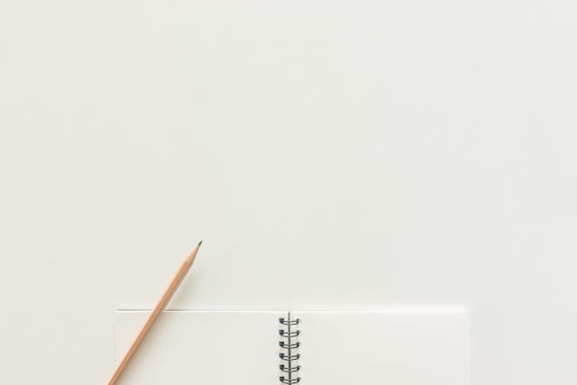 A birds-eye view of an open, blank notebook with a light brown pencil on top of it. 