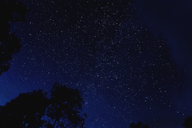 A night sky that is full of stars and midnight blue hues.
