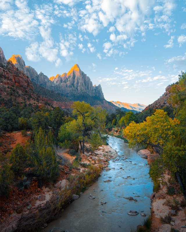 An image of a stream in the middle of two rows of trees with a visible mountain in the distance. 
