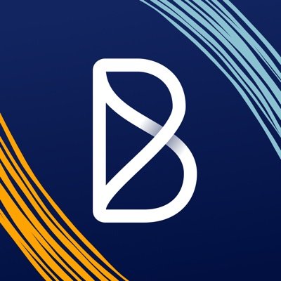 /media/logos/blink.jpg